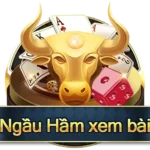 Game Ngầu Hầm Xem Bài CFUN68