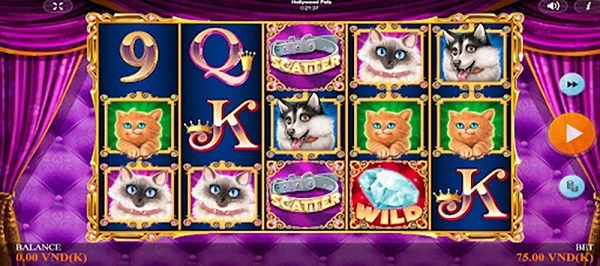 Slot game Thú Cưng Ở Hollywood
