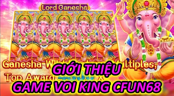 Quản lý tài chính thông minh trong Voi King là điều cần thiết
