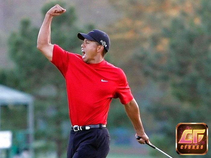 Sau những sóng gió 1 lần nữa ông cho thế giới biết Tiger Woods là ai