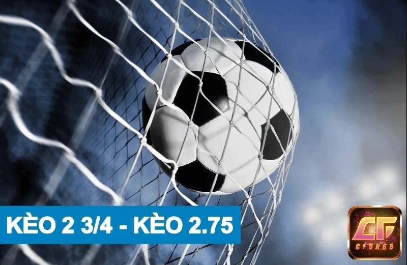 Khái niệm về kèo 2 3/4