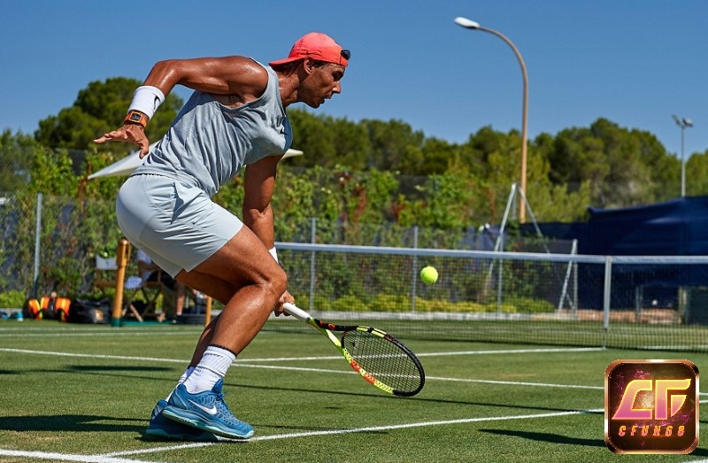 Cách chơi tennis cho người mới bắt đầu