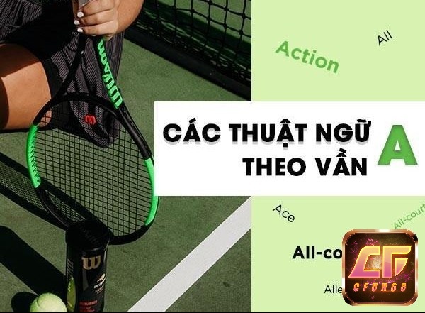 Thuật ngữ trong tennis bạn cần biết