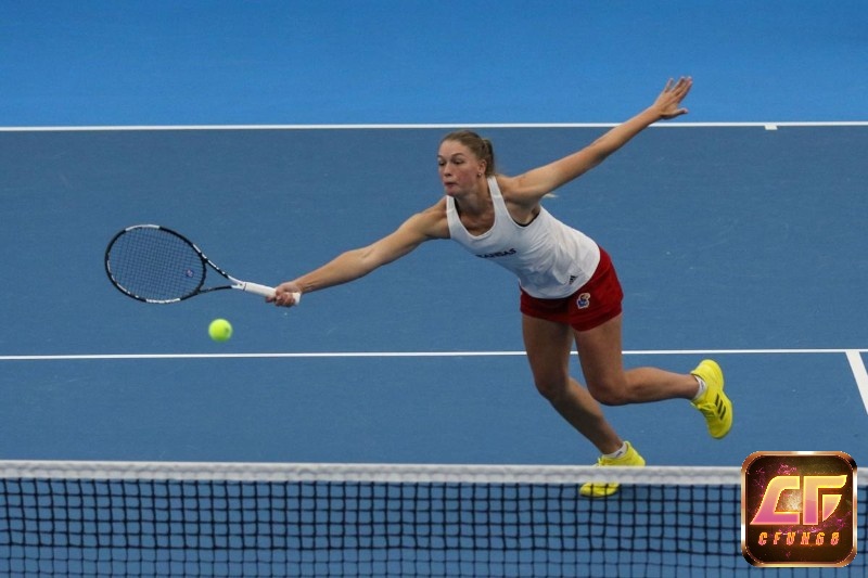Thuật ngữ trong tennis