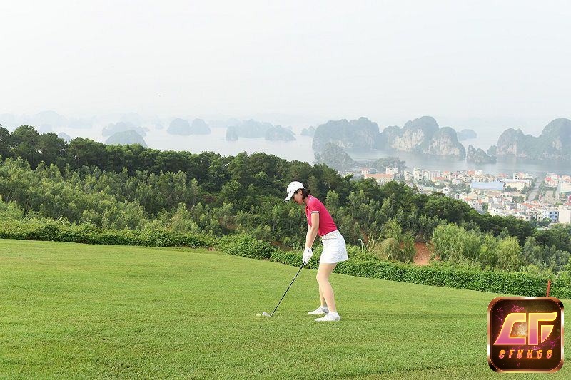 Thuật ngữ về golf trong hình thức đấu