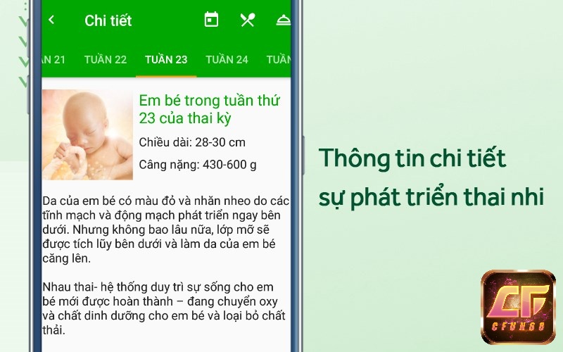 Sự phát triển theo tuần
