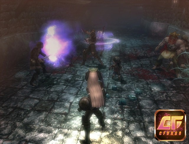 Trong game Wizardry Online người chơi có thể tạo ra những nhân vật đa dạng