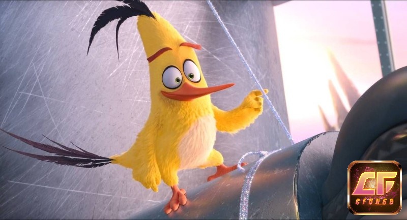 Chim Chuck có khả năng đục gỗ