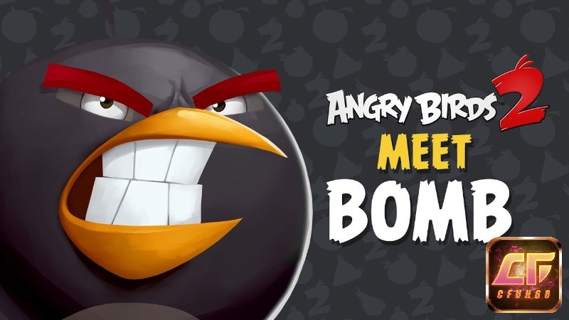 Chú chim Bomb được mệnh danh là chú chim đánh bom tự sát