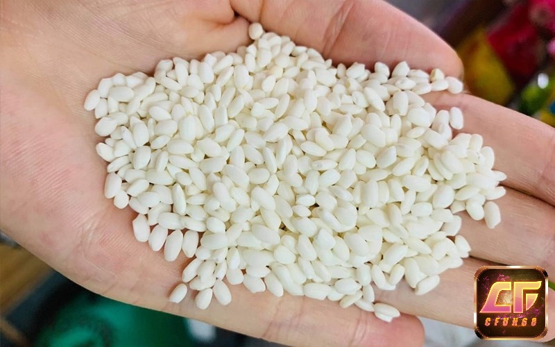 Nằm mơ thấy gạo nếp là điềm báo tốt