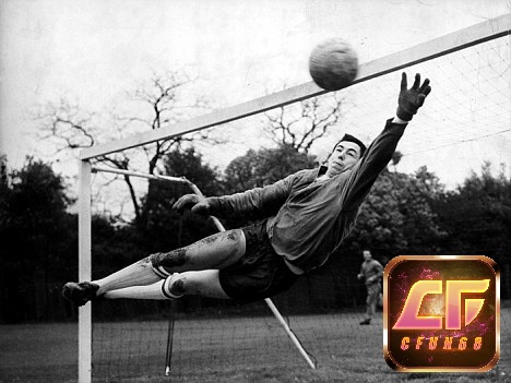 Gordon Banks - Thủ môn hay nhất World Cup 