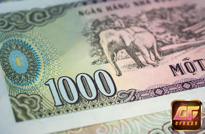 Mơ thấy tiền 1000 chứa đựng nhiều dự báo thú vị