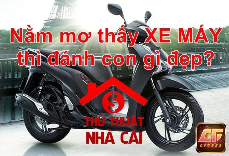 Mơ thấy xe máy đánh con gì , trúng liền tay