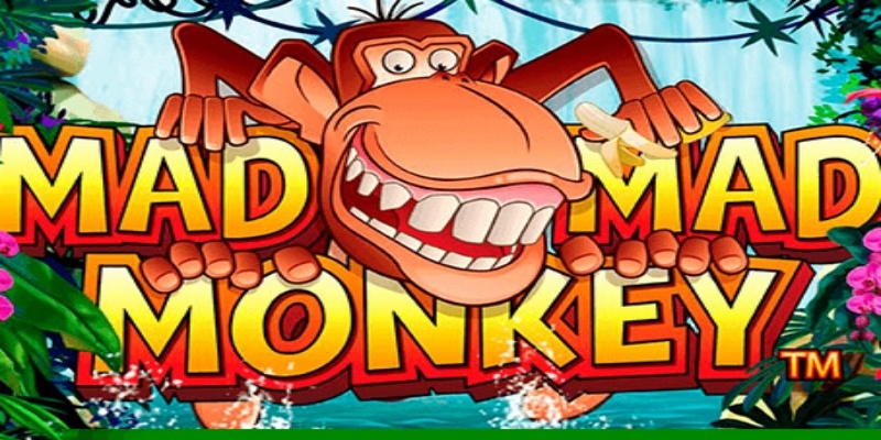 Mad Mad Monkey slot: Phiêu lưu rừng rậm cùng chú khỉ vui nhộn