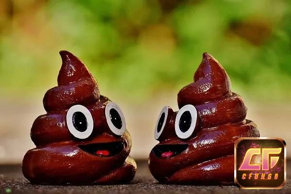 Mơ thấy cứt đánh đề con gì - Ghi nhớ tình tiết để có được dự báo