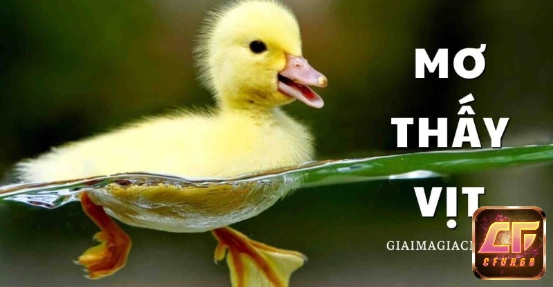 Giải mã chi tiết về giấc mơ thấy đàn vịt con đánh số gì ngay thôi nào