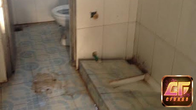 Nhà vệ sinh bẩn thỉu trong mơ cảnh báo chuyện bạn đang bị người khác lợi dụng