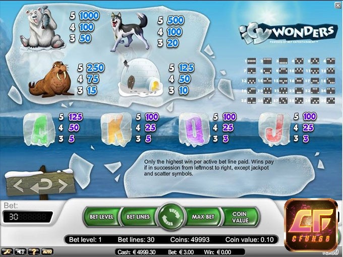 Các động vật vùng Bắc Cực đem đến giá trị cao trong Icy Wonders slot