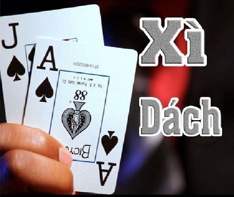 Luật chơi Xì dách có những quy định như thế nào?