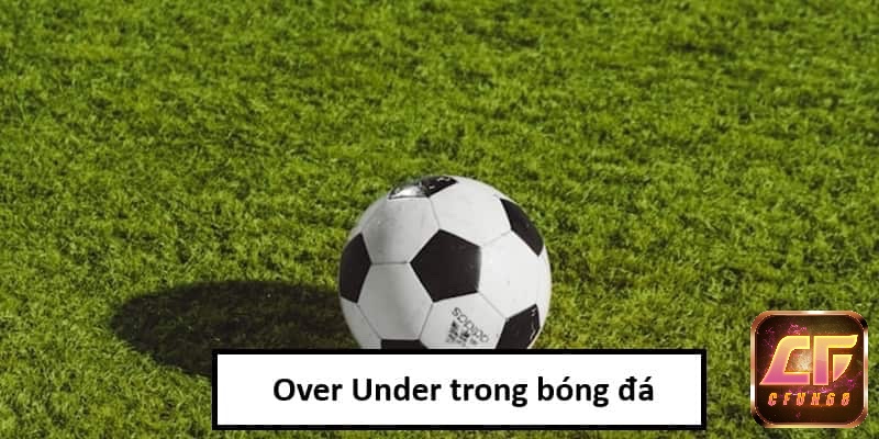 Theo tìm hiểu cá cược tài xỉu bóng đá là gì: người chơi đặt cược vào cửa Tài hoặc Xỉu dựa trên mốc bàn thắng nhà cái đưa ra.