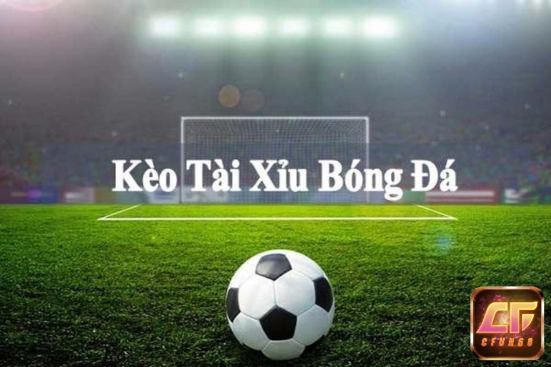 Khi tìm hiểu cá cược tài xỉu bóng đá là gì thì ta thấy cá cược bóng đá trực tuyến chưa được pháp luật Việt Nam công nhận.