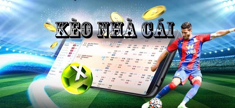 Cá cược tài xỉu bóng đá là gì? Hướng dẫn từ A–Z cho dân cược