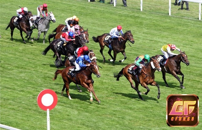 Value bet là những cược có tỷ lệ thắng thực tế cao hơn tỷ lệ mà bookmaker đưa ra