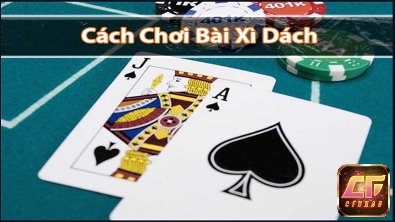 Giải đáp những câu hỏi phổ biến nhất về xì dách offline cho người mới.