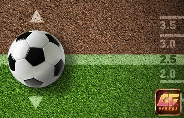 Tài xỉu 2 trái 3 4 là sao và cách hiểu kèo chi tiết cho người mới