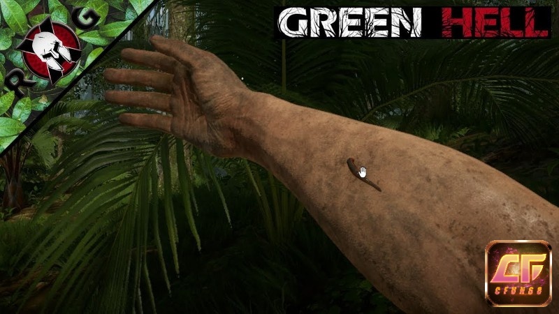 Bàn tay nhân vật soi vết thương và gỡ đỉa trên da, khung cảnh ẩm ướt và ánh sáng rừng xuyên tán cây