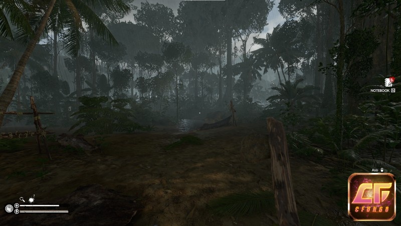 Mưa rơi dày trong rừng, ánh sáng lọc qua tán cây và tiếng môi trường dày đặc tạo cảm giác áp lực