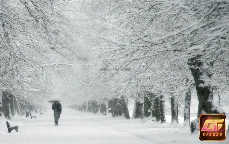 Khi bệnh nhân mơ thấy tuyết rơi sẽ mang ý nghĩa về sự hồi phục cả về thể chất lẫn tinh thần của họ