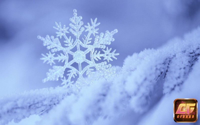 Giải mã giấc mơ thấy tuyết rơi số mấy và các điềm báo liên quan