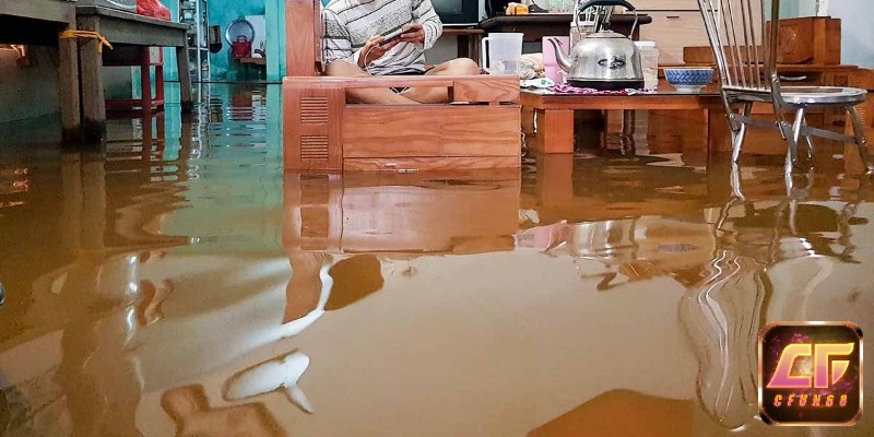 Giải mã giấc mơ thấy nước tràn vào nhà và tìm ra điềm báo tâm linh 