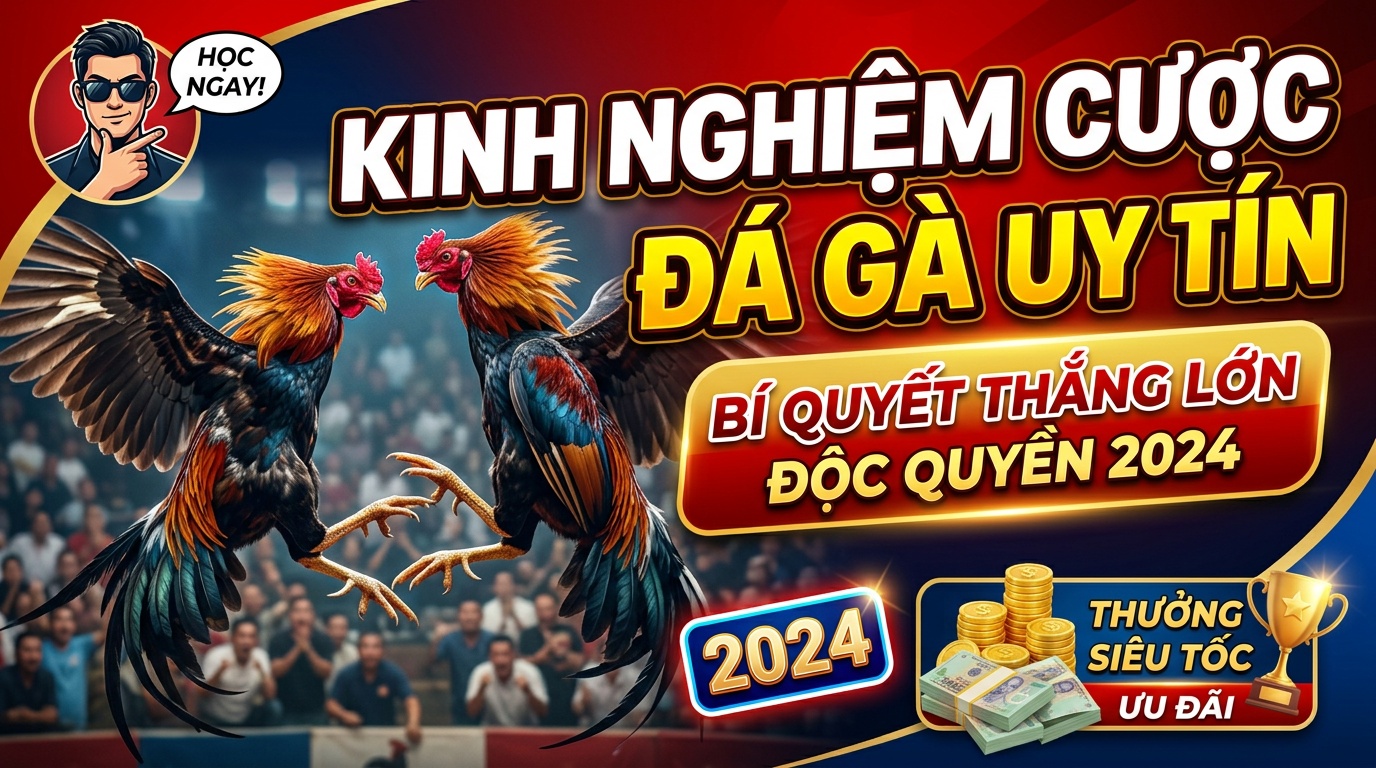 Kinh nghiệm cược đá gà uy tín: Bí quyết thắng lớn độc quyền