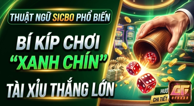 Thuật ngữ sicbo phổ biến nhất: Giải mã từ A-Z cho người chơi